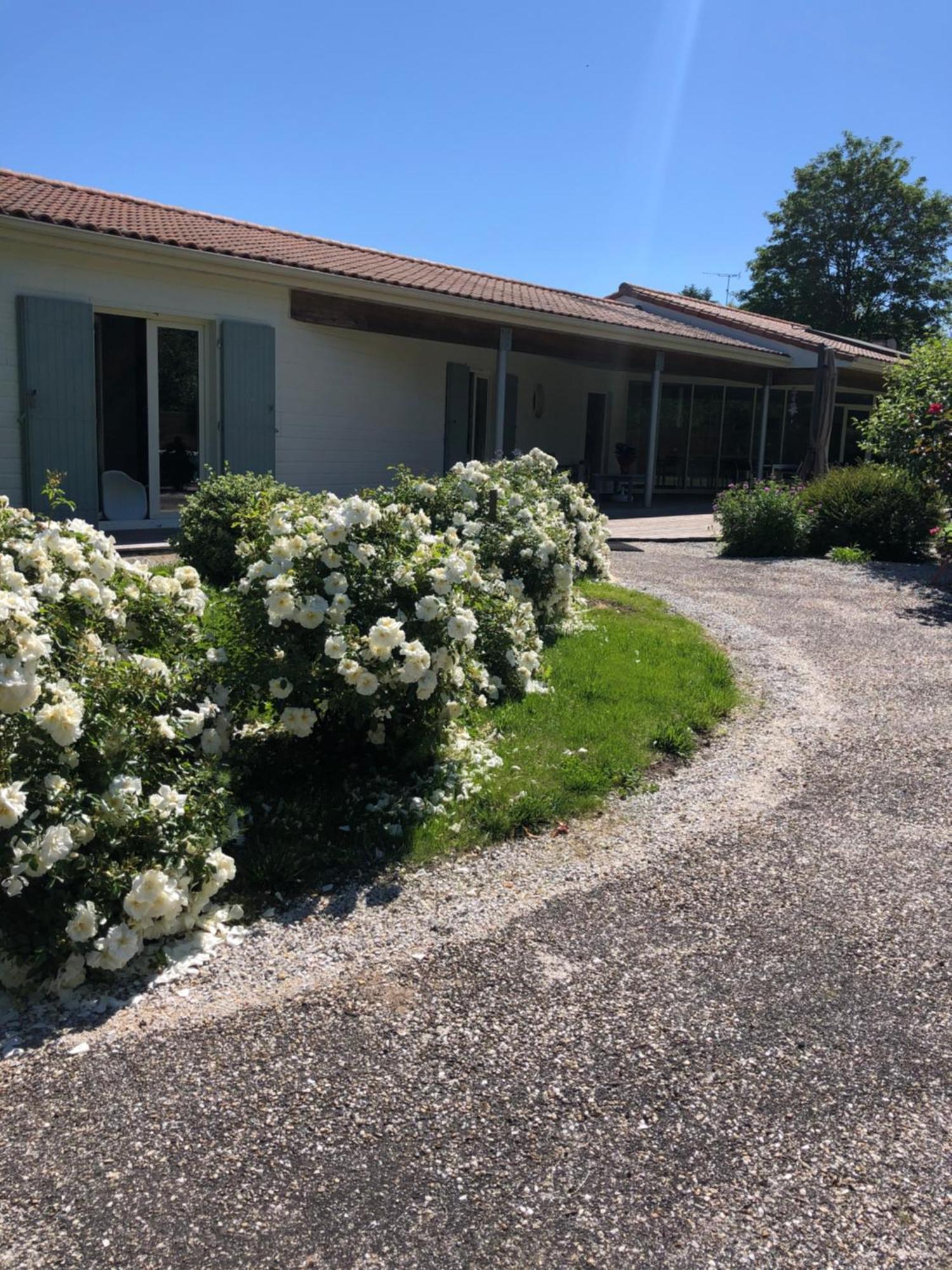 Chambres D Hotes Villa Anani Cosson Alex Barbezieux-Saint-Hilaire Bagian luar foto